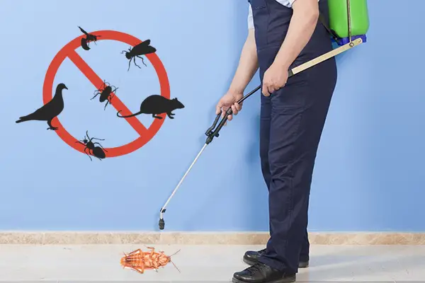 Pest Control Service