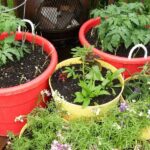 gardening containers