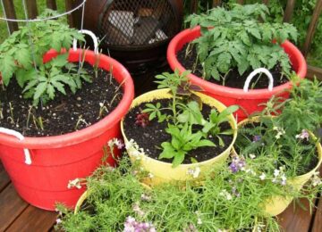 gardening containers