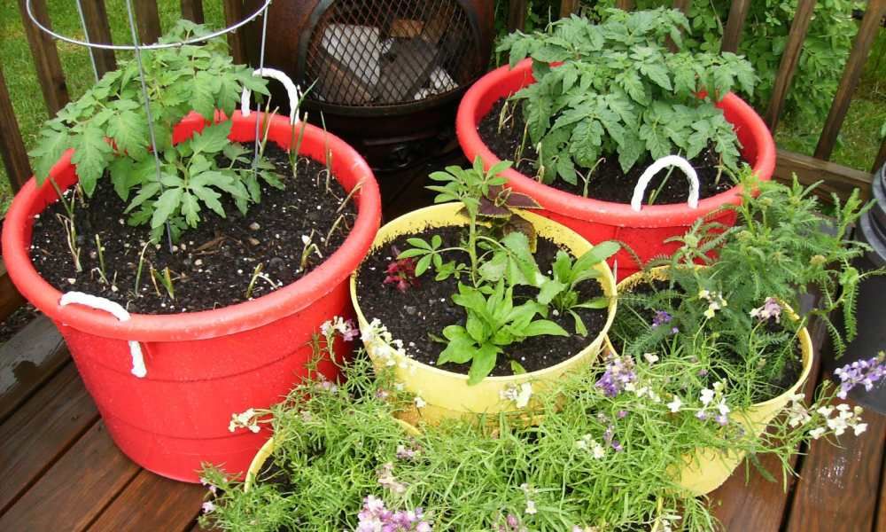 gardening containers