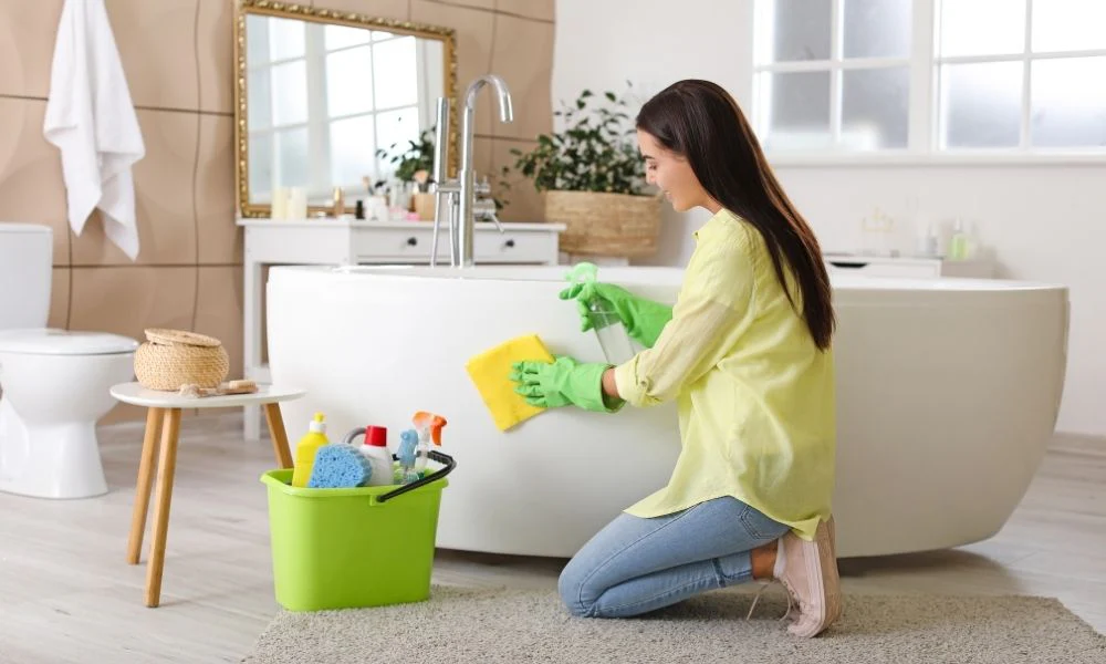 self-cleaning toilet