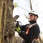 Specialized-Tree-Care