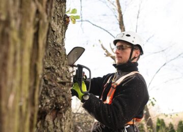 Specialized-Tree-Care