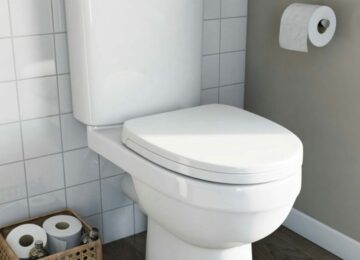 self-cleaning toilet