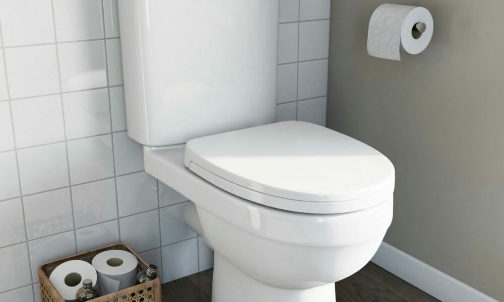 self-cleaning toilet