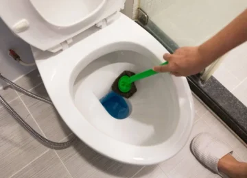 self-cleaning toilet