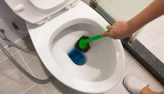 self-cleaning toilet