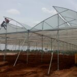 Deep Winter Greenhouses