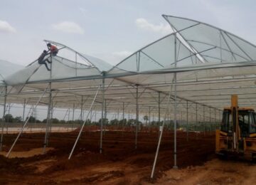 Deep Winter Greenhouses