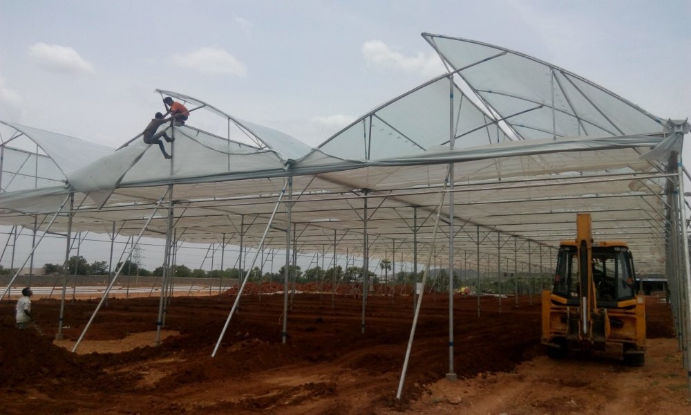 Deep Winter Greenhouses